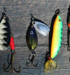 Best Fishing Spots Near Helen, GA: Rivers, Lakes and Trout Streams