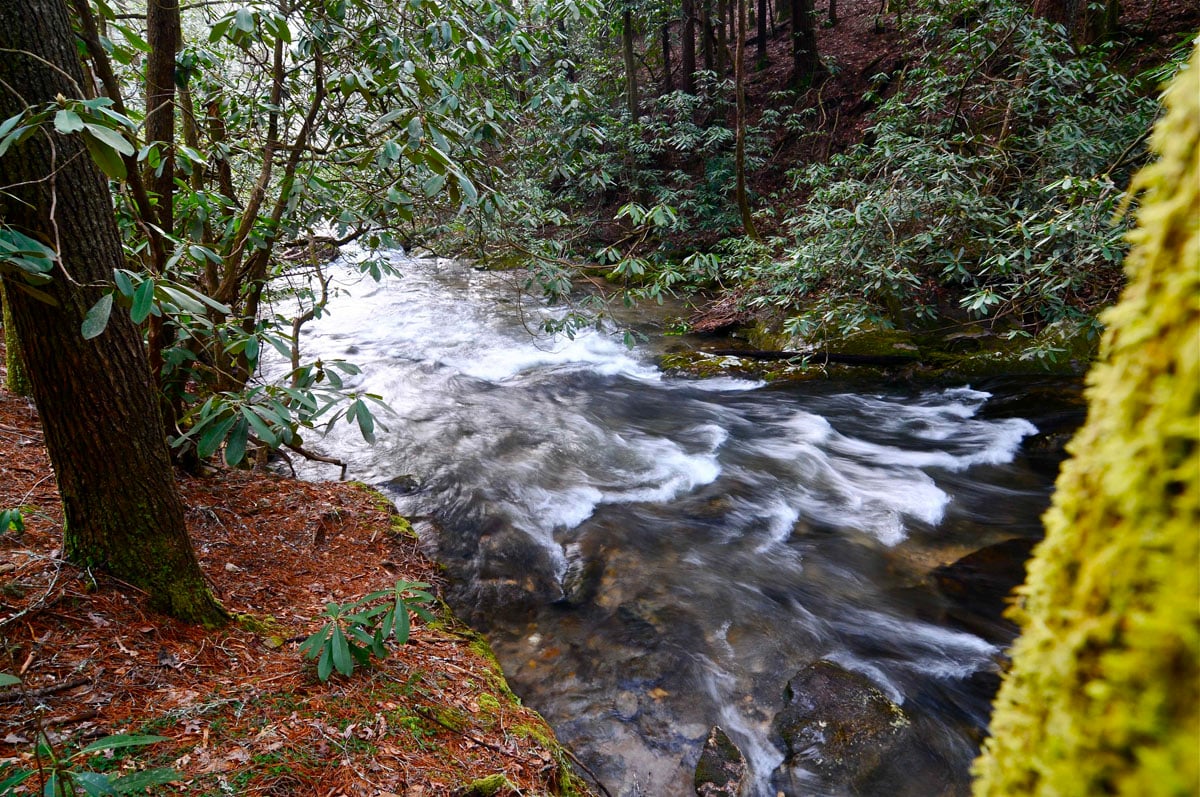 Dukes Creek Fly Fishing Insights For a Successful Fishing Helen GA