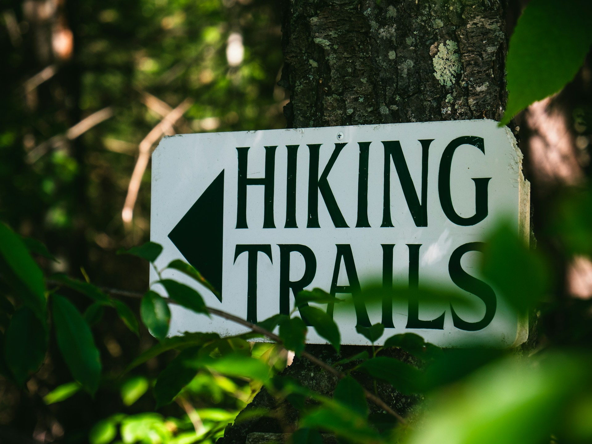 hiking trails