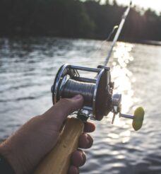 Fly Fishing The Toccoa River In Georgia: Best Trout Spots & Flies (2026 Guide)
