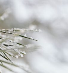 Winter in Helen GA: Perfect Cabin Getaway Surrounded by Nature